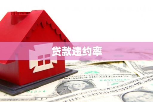 伸港贷款违约率