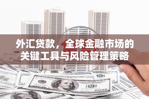 伸港外汇贷款，全球金融市场的关键工具与风险管理策略
