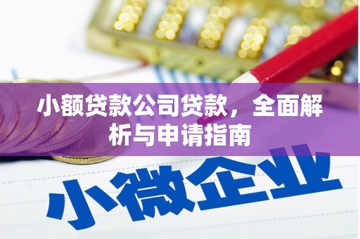 伸港小额贷款公司贷款，全面解析与申请指南