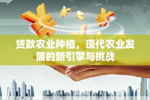 伸港贷款农业种植，现代农业发展的新引擎与挑战