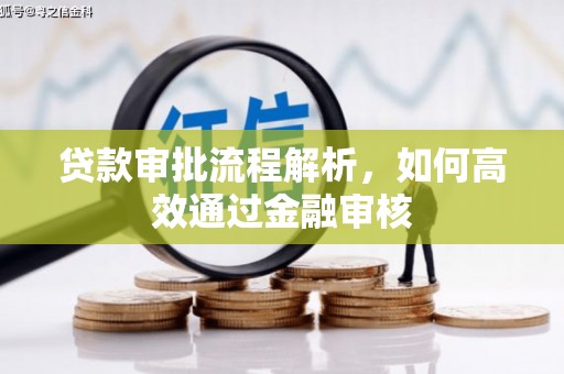 伸港贷款审批流程解析，如何高效通过金融审核