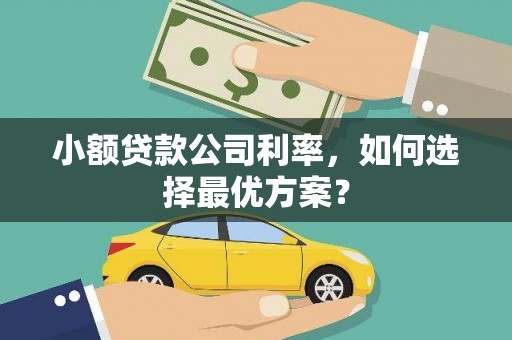 伸港小额贷款公司利率，如何选择最优方案？
