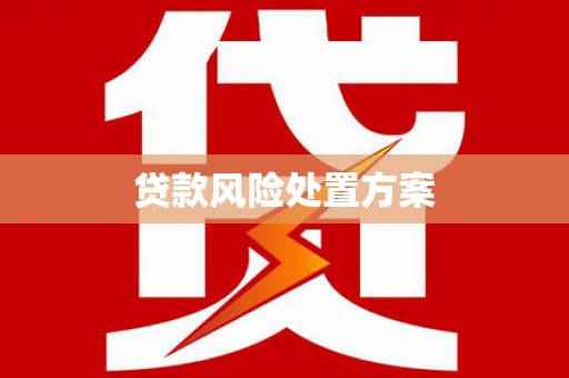 伸港贷款风险处置方案