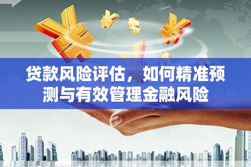 伸港贷款风险评估，如何精准预测与有效管理金融风险
