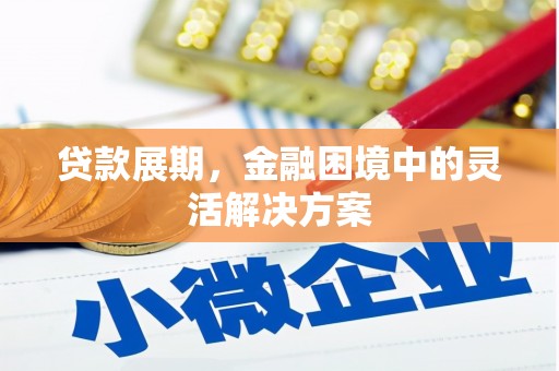 伸港贷款展期，金融困境中的灵活解决方案