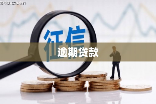 伸港逾期贷款