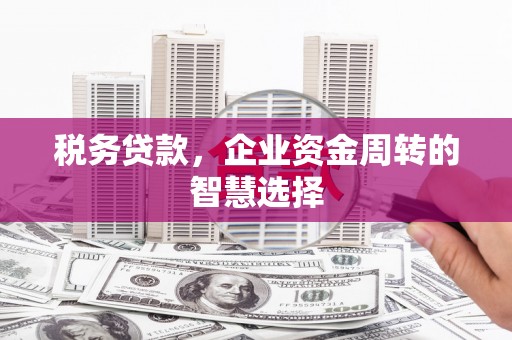 伸港税务贷款，企业资金周转的智慧选择