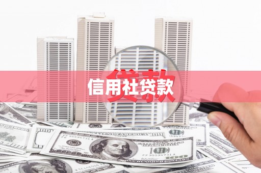 伸港信用社贷款