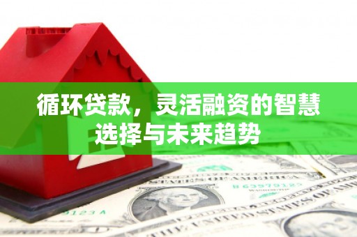 伸港循环贷款，灵活融资的智慧选择与未来趋势