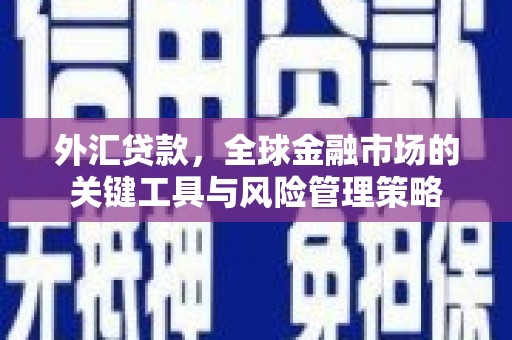 伸港外汇贷款，全球金融市场的关键工具与风险管理策略