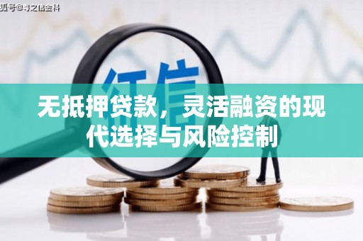 伸港无抵押贷款，灵活融资的现代选择与风险控制