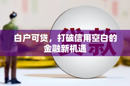 伸港白户可贷，打破信用空白的金融新机遇