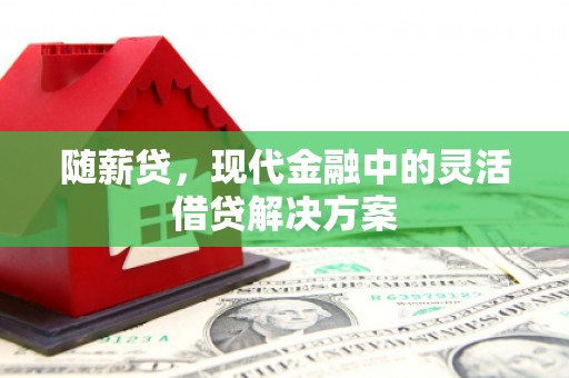 伸港随薪贷，现代金融中的灵活借贷解决方案
