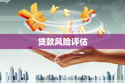 伸港贷款风险评估