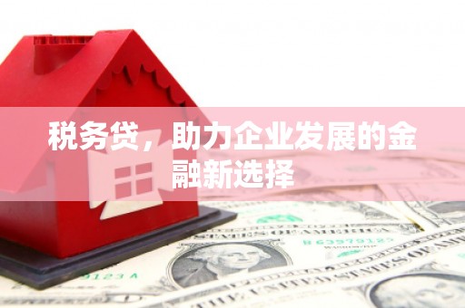 伸港税务贷，助力企业发展的金融新选择