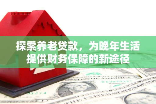 伸港探索养老贷款，为晚年生活提供财务保障的新途径