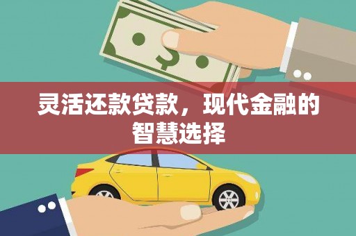 伸港灵活还款贷款，现代金融的智慧选择