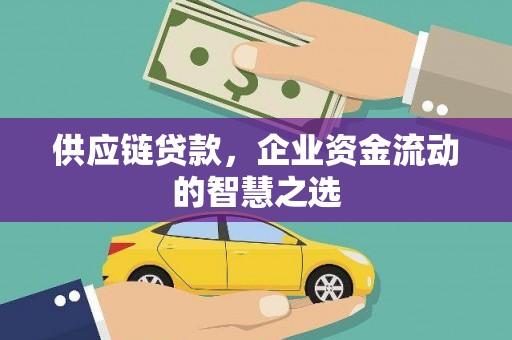 伸港供应链贷款，企业资金流动的智慧之选
