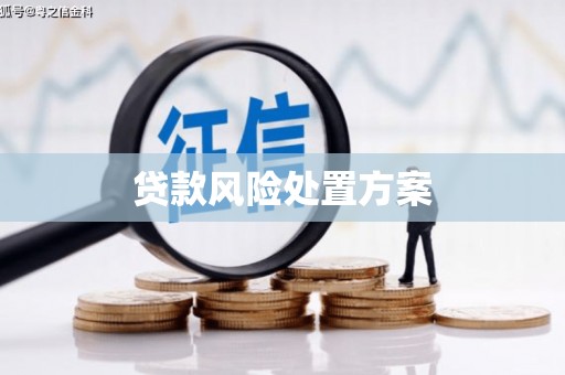 伸港贷款风险处置方案