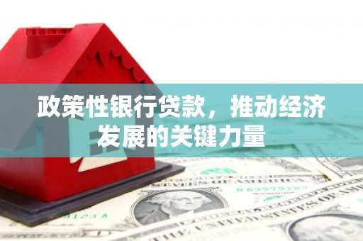 伸港政策性银行贷款，推动经济发展的关键力量