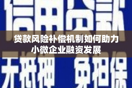 伸港贷款风险补偿机制如何助力小微企业融资发展