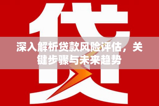 伸港深入解析贷款风险评估，关键步骤与未来趋势