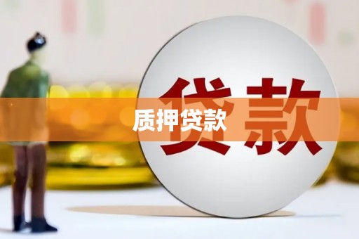伸港质押贷款