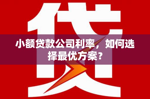 伸港小额贷款公司利率，如何选择最优方案？