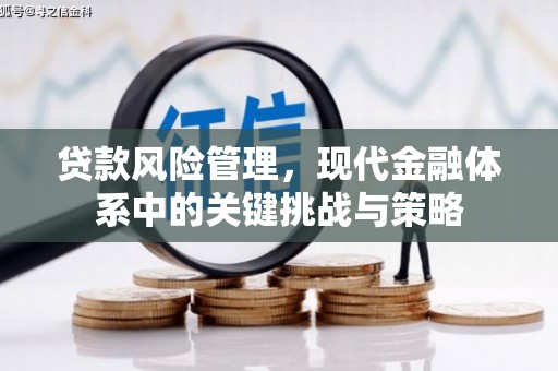 伸港贷款风险管理，现代金融体系中的关键挑战与策略