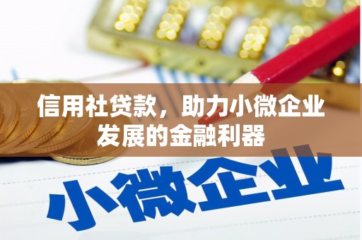 伸港信用社贷款，助力小微企业发展的金融利器
