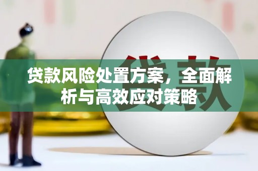 伸港贷款风险处置方案，全面解析与高效应对策略