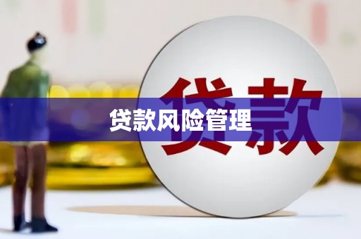 伸港贷款风险管理