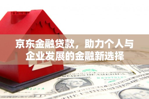 伸港京东金融贷款，助力个人与企业发展的金融新选择