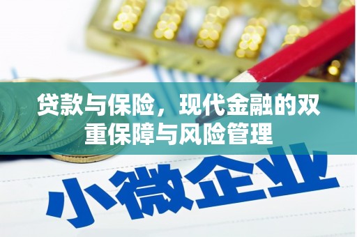 伸港贷款与保险，现代金融的双重保障与风险管理
