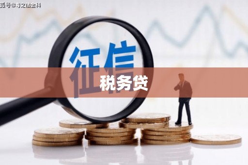 伸港税务贷