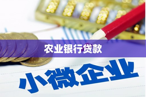伸港农业银行贷款