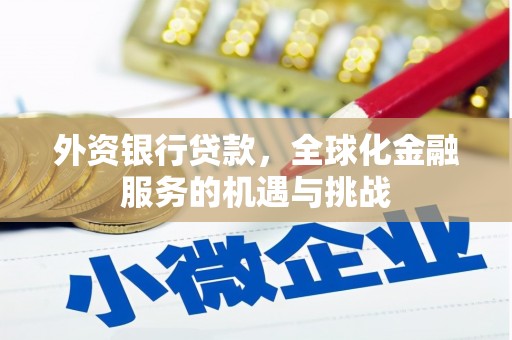 伸港外资银行贷款，全球化金融服务的机遇与挑战