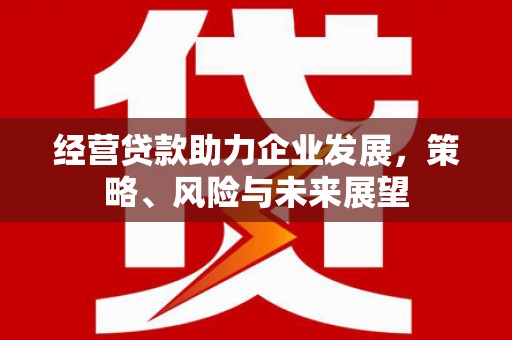 伸港经营贷款助力企业发展，策略、风险与未来展望