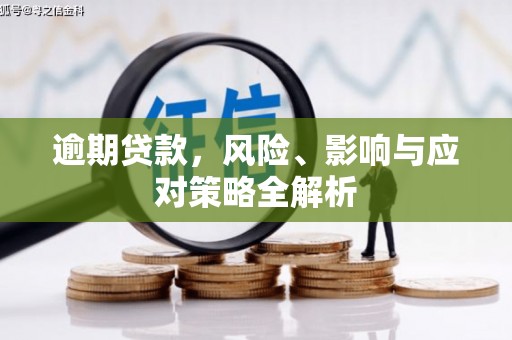 伸港逾期贷款，风险、影响与应对策略全解析