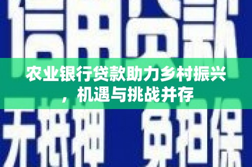伸港农业银行贷款助力乡村振兴，机遇与挑战并存