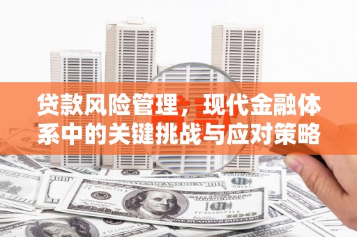 伸港贷款风险管理，现代金融体系中的关键挑战与应对策略