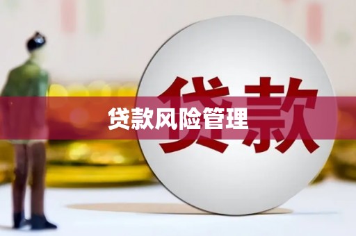 伸港贷款风险管理