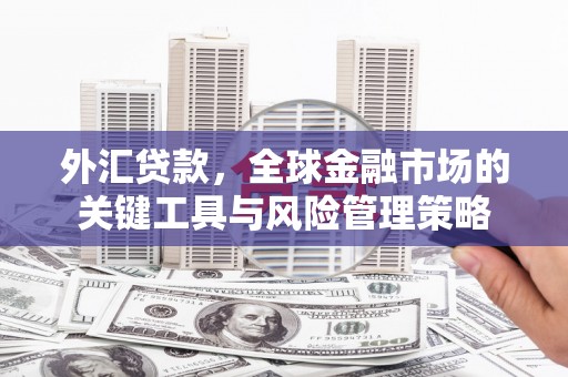 伸港外汇贷款，全球金融市场的关键工具与风险管理策略