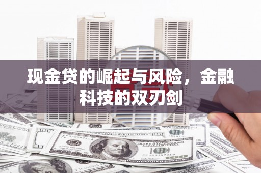伸港现金贷的崛起与风险，金融科技的双刃剑