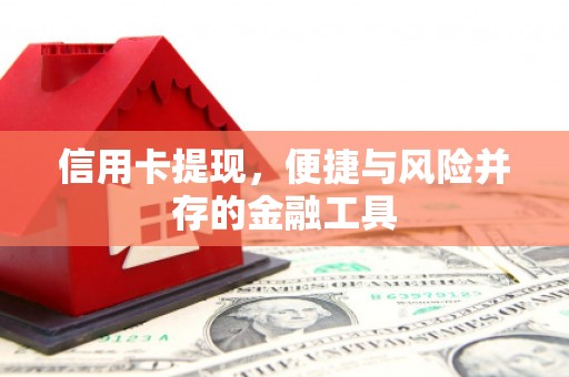 伸港信用卡提现，便捷与风险并存的金融工具