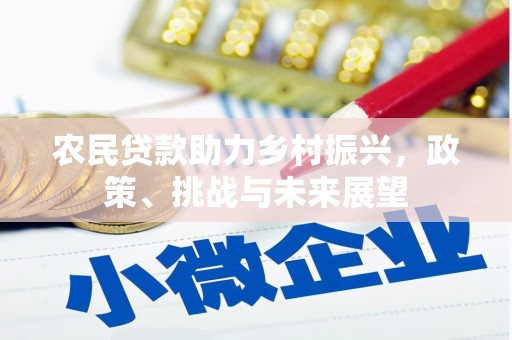 伸港农民贷款助力乡村振兴，政策、挑战与未来展望