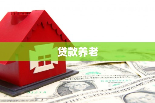 伸港贷款养老