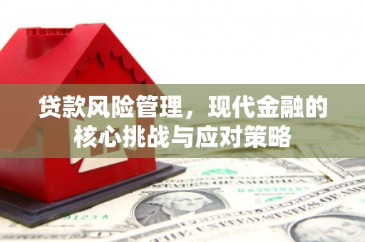 伸港贷款风险管理，现代金融的核心挑战与应对策略