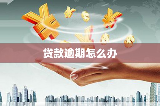 伸港贷款逾期怎么办