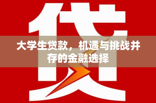 伸港大学生贷款，机遇与挑战并存的金融选择